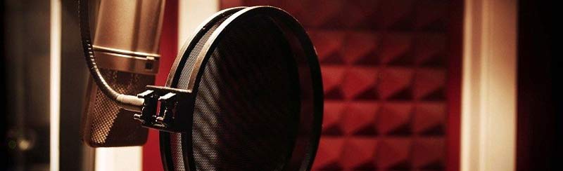 voice over industry