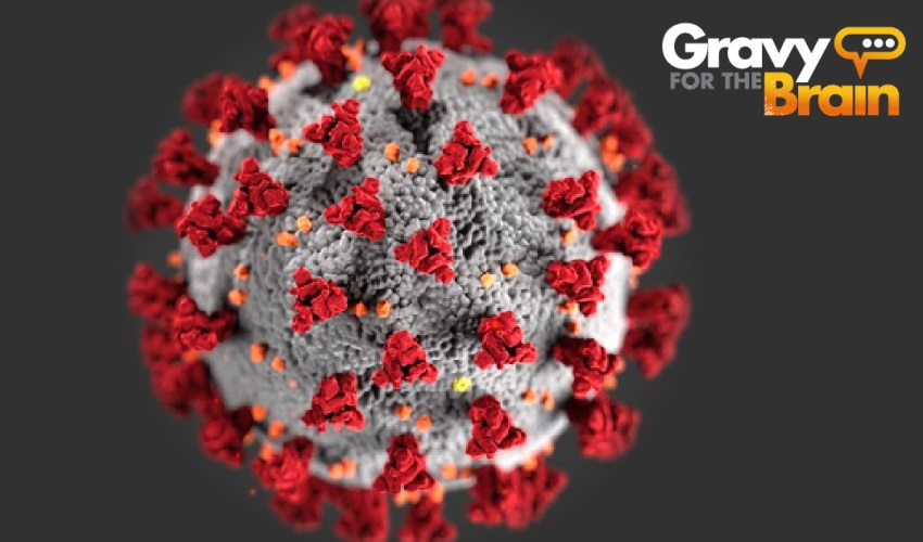 Coronavirus Panel Blog Feature (850x500)