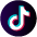 tiktok-circle-icon